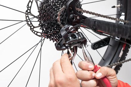 bicycle gear fixing