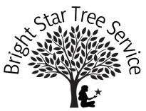 The logo for bright star tree service shows a woman sitting under a tree holding a star.