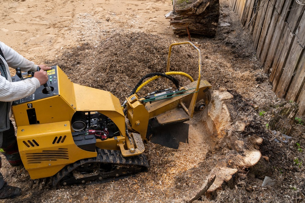 A man is using a stump grinder to remove a tree stump.