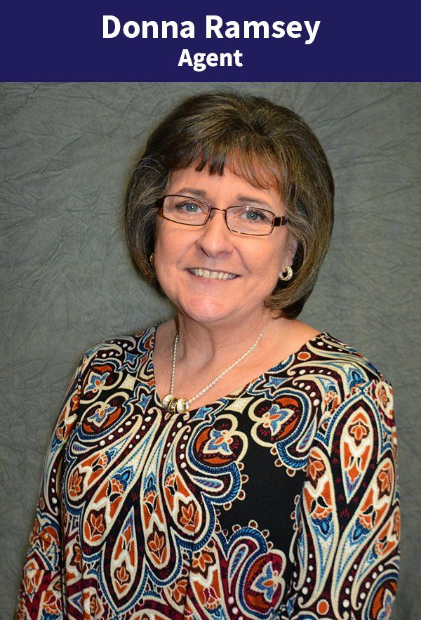 About Ramsey Insurance Agency