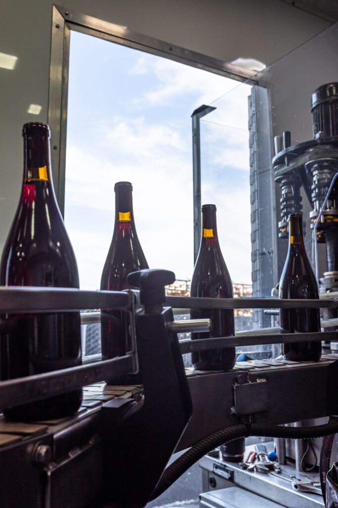 A conveyor belt filled with bottles of wine in a factory.