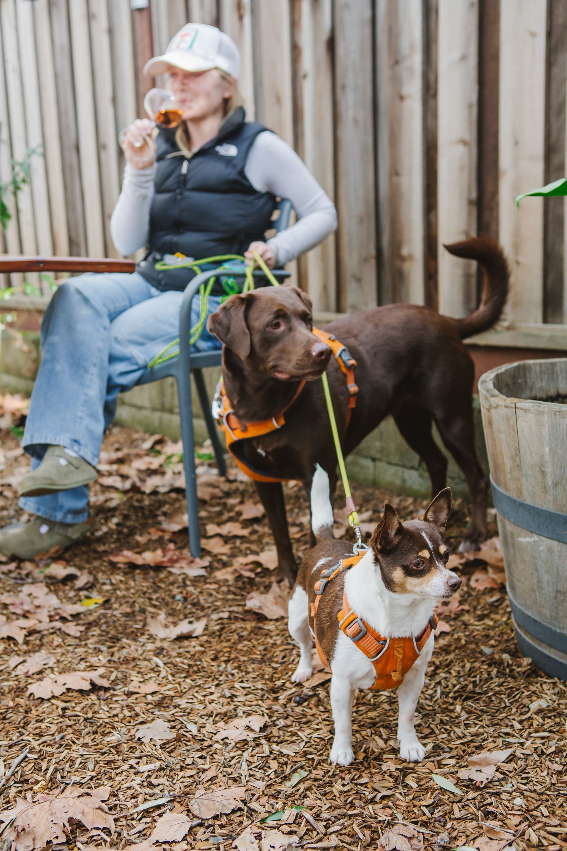 A woman is sitting at a table with two dogs.