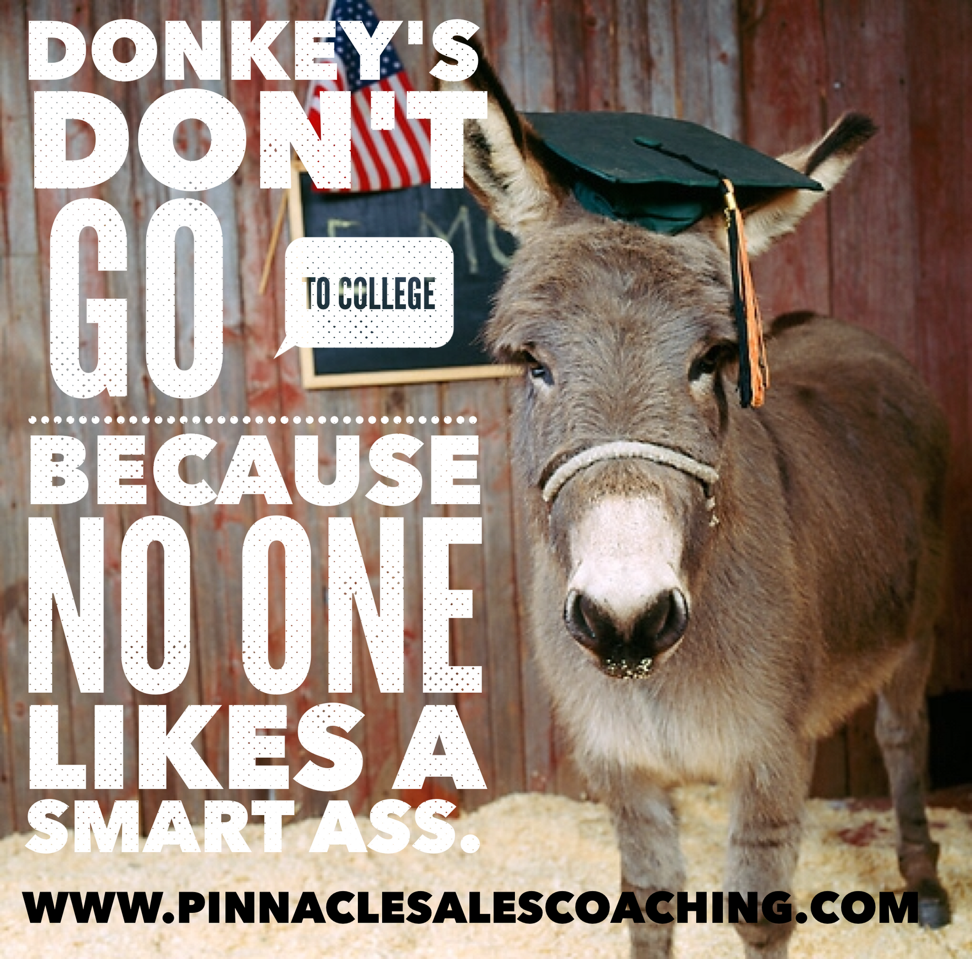 DONKEY'S DONT GO TO COLLEGE
BECAUSE NO ONE LIKES A SMART ASS.