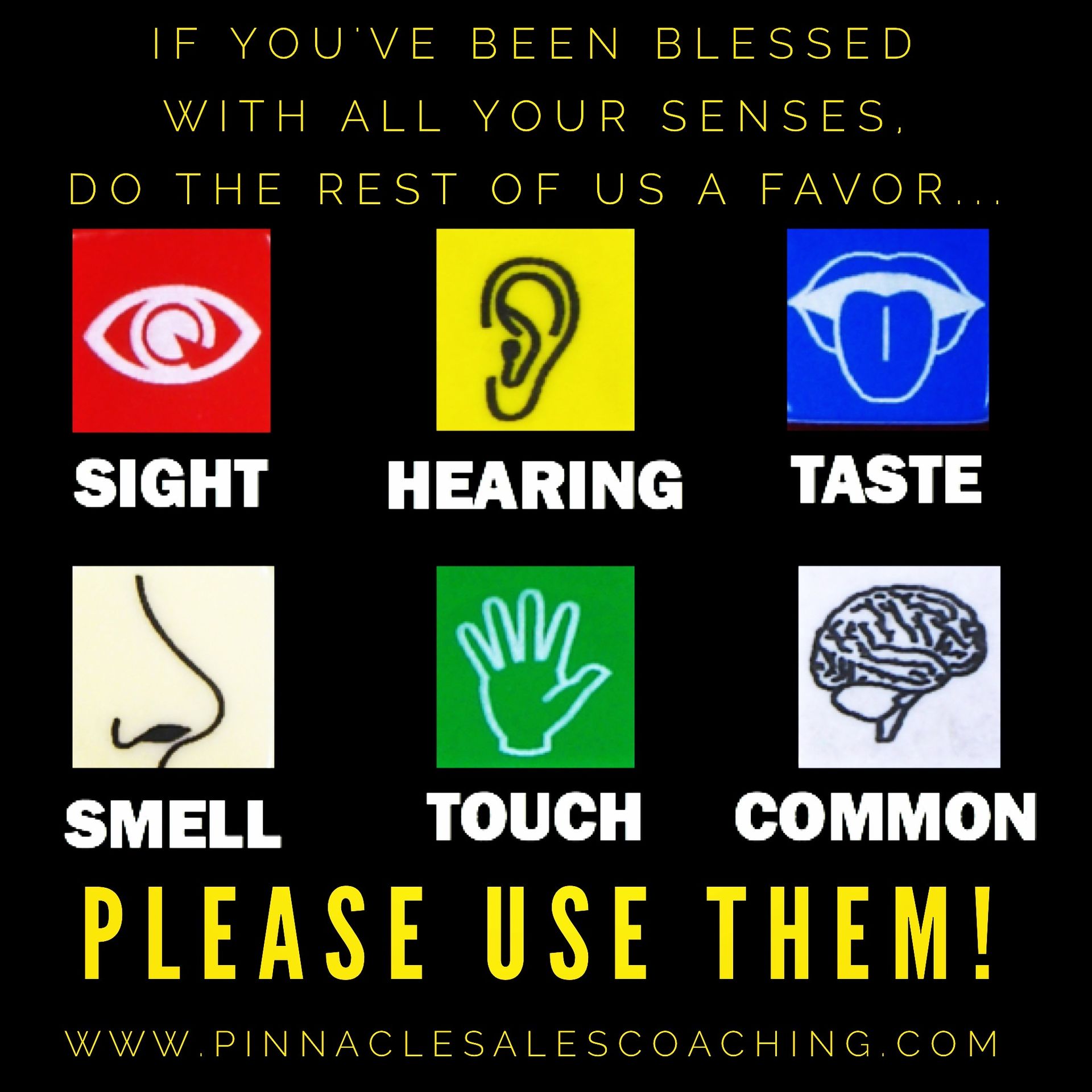 You have been blessed with all your senses. Do the rest of us a favor and use them. 
