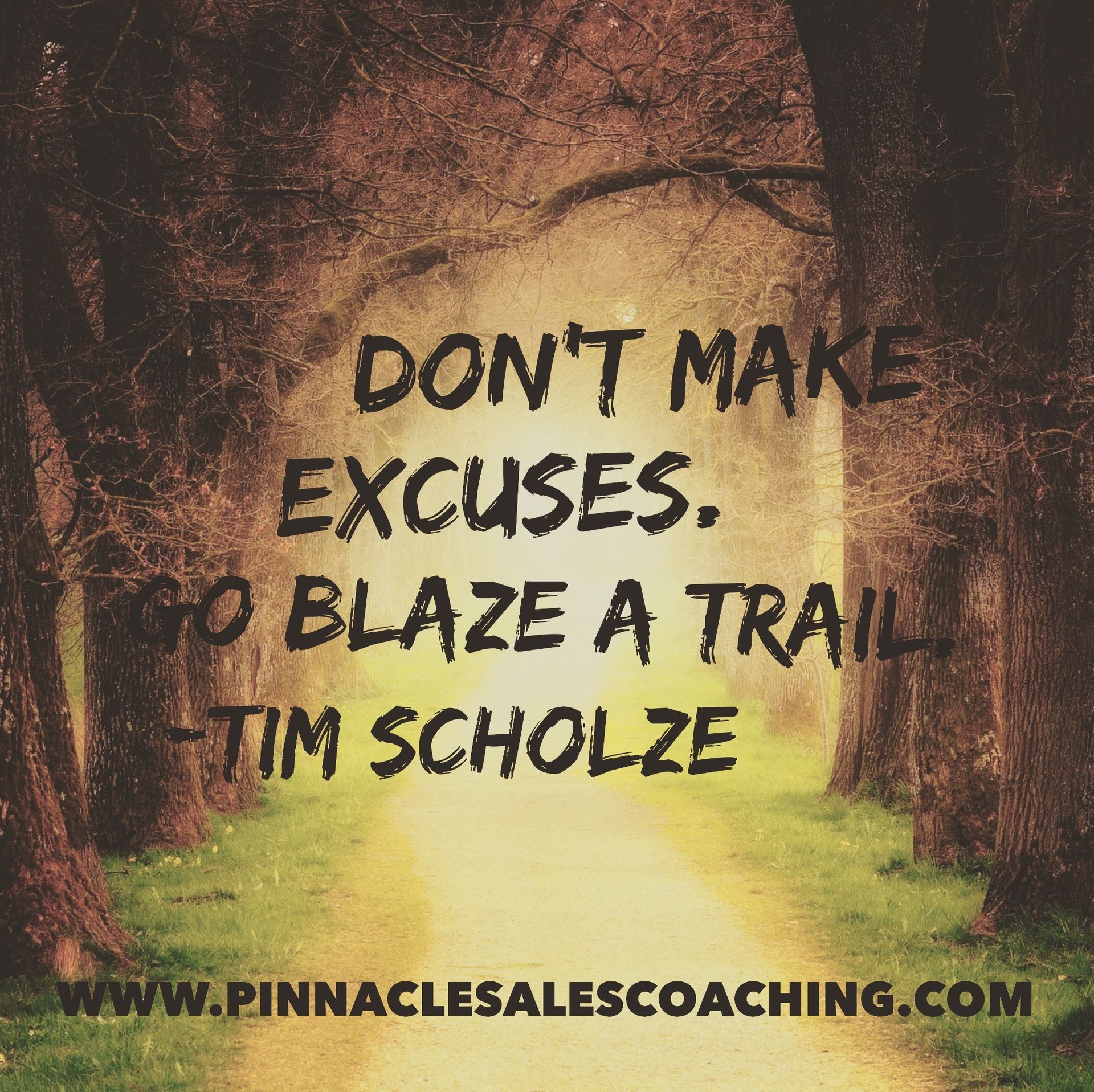 DON'T MAKE EXCUSES. GO BLAZE A TRAIL -TIM SCHOLZE