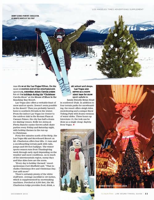 winter christmas skateboarding magazine