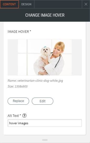 image hover option for content replacing image hover