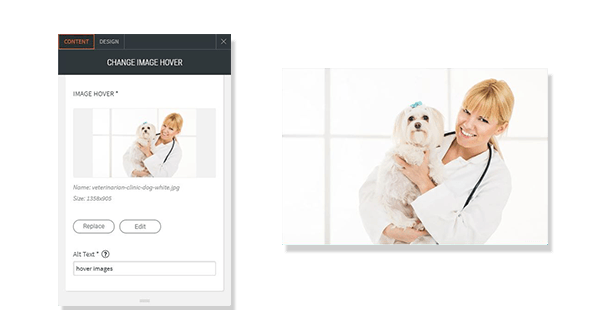 Image Hover shows options content and design