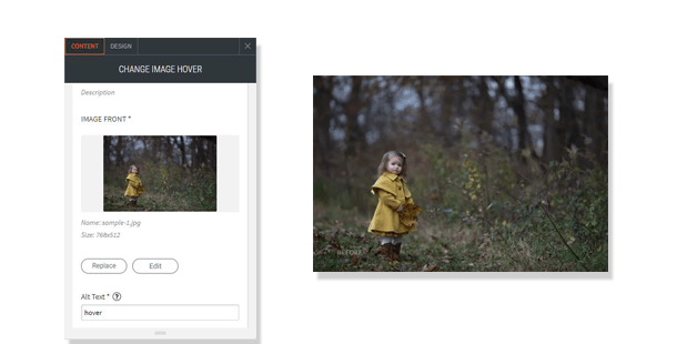 Image Hover widget shows option and output image