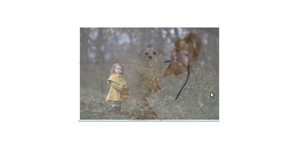 image hover widget