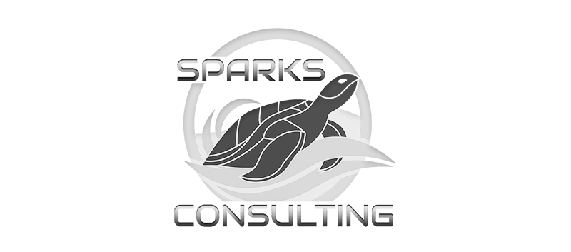 sparks consulting
