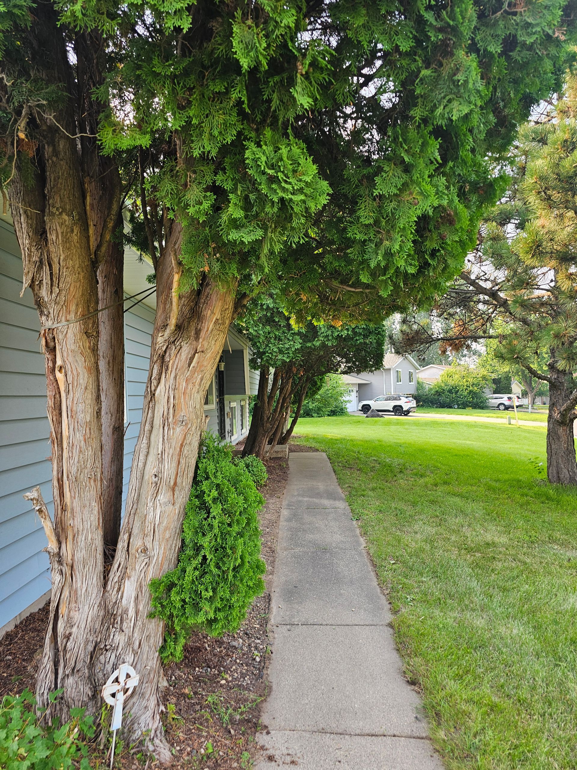 A concrete sidewalk passes under green trees beside a light blue building and a grassy lawn.