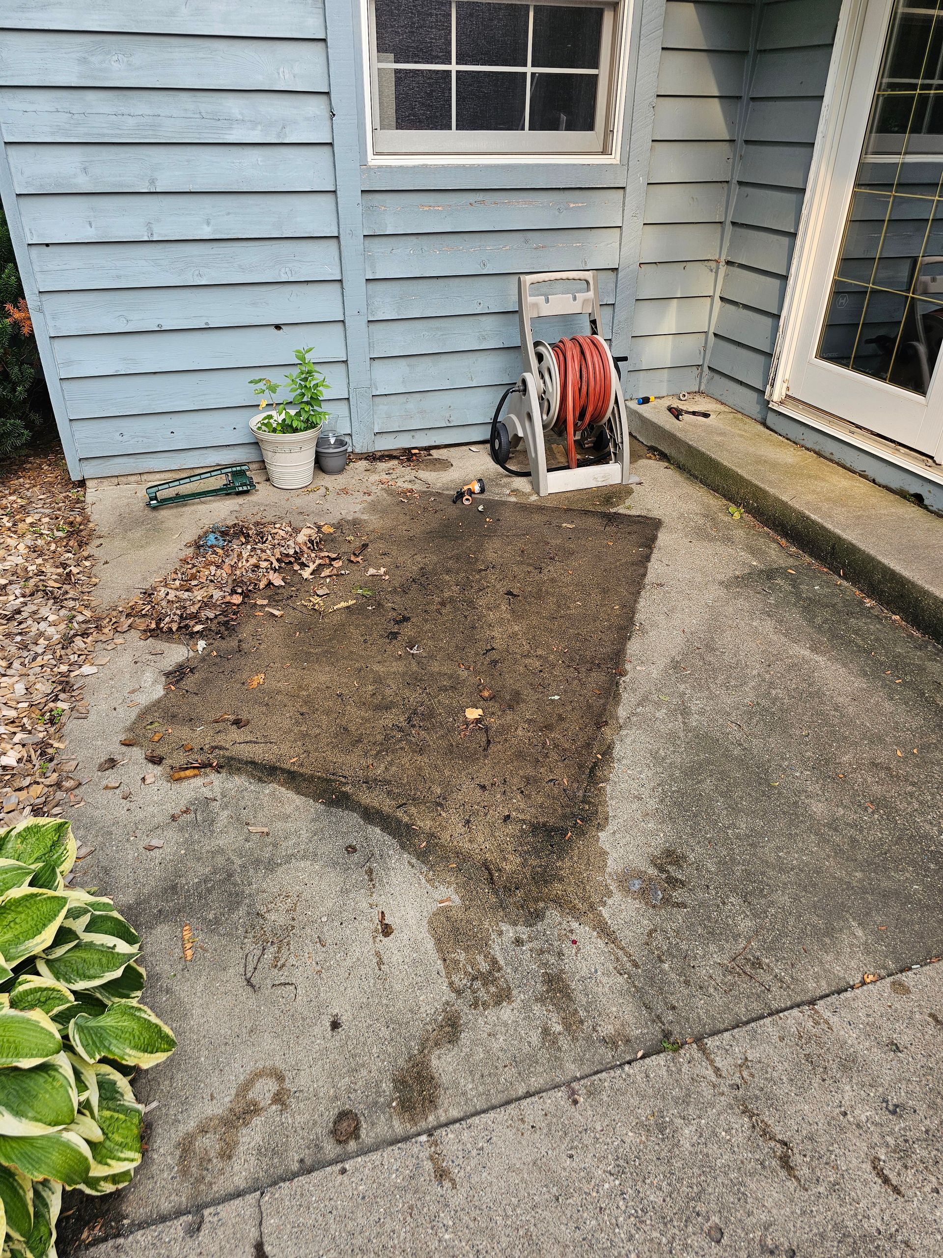 A concrete patio with a patch of dirt and leaves next to a blue building and a potted plant.