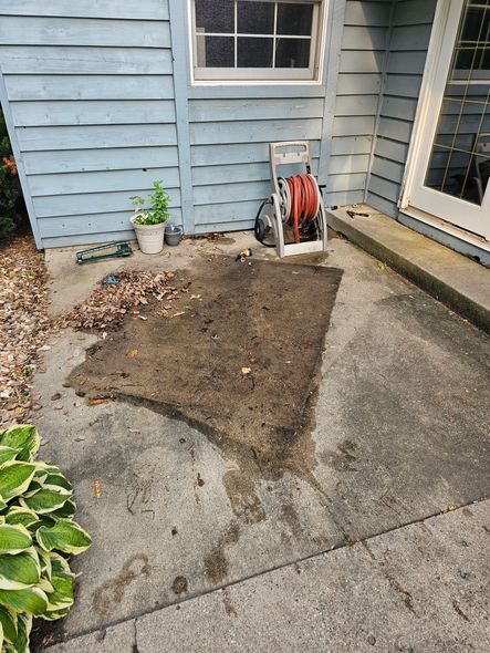 A concrete patio with a patch of dirt and leaves next to a blue building and a potted plant.
