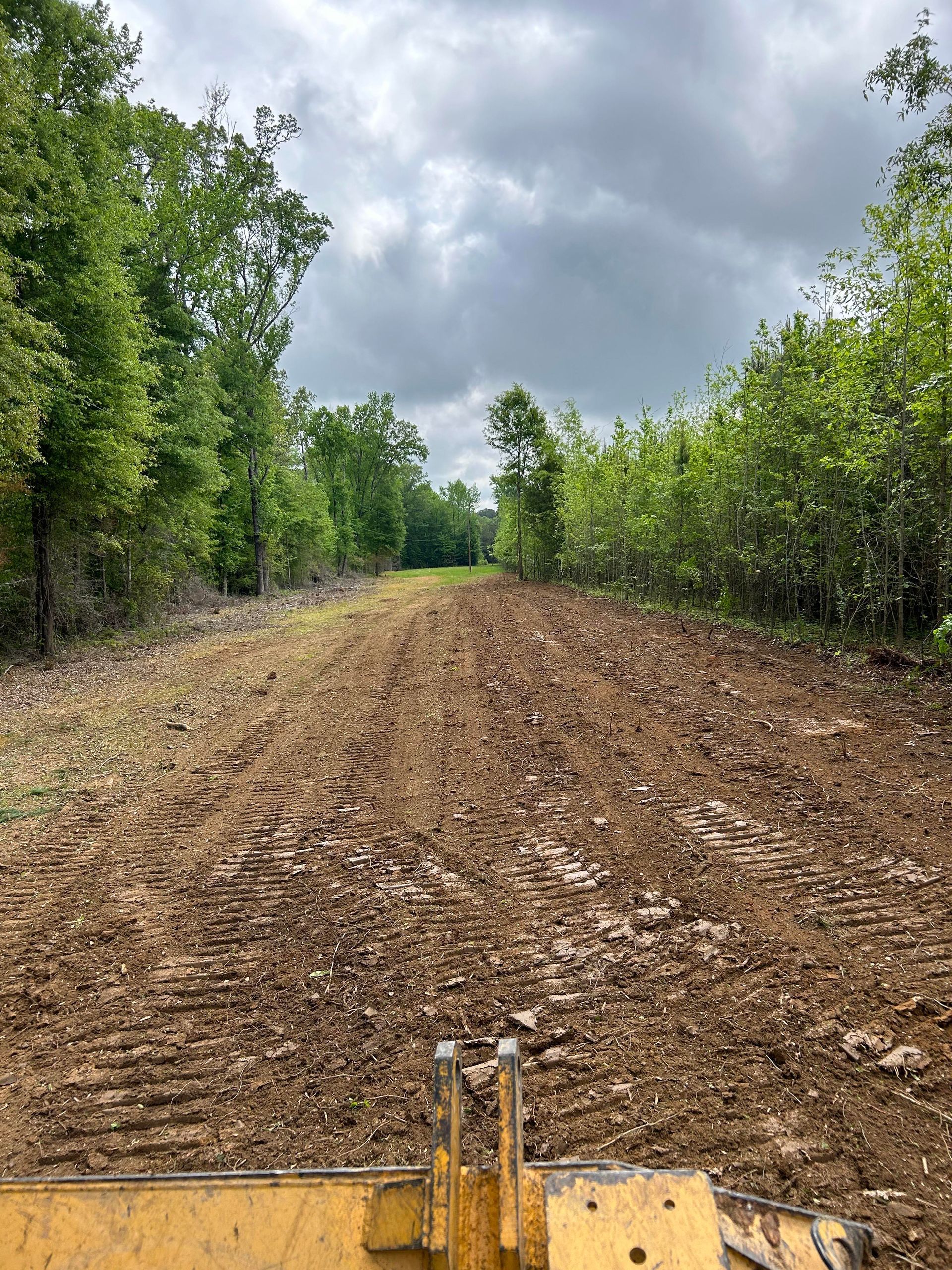 A bulldozer is plowing a dirt field in the middle of a forest.