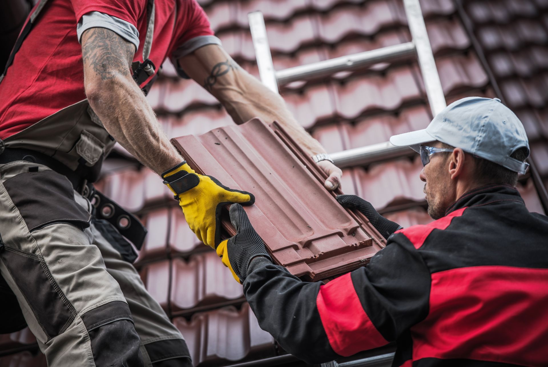 Two roofers passing clay roof tiles on a ladder, outdoors.