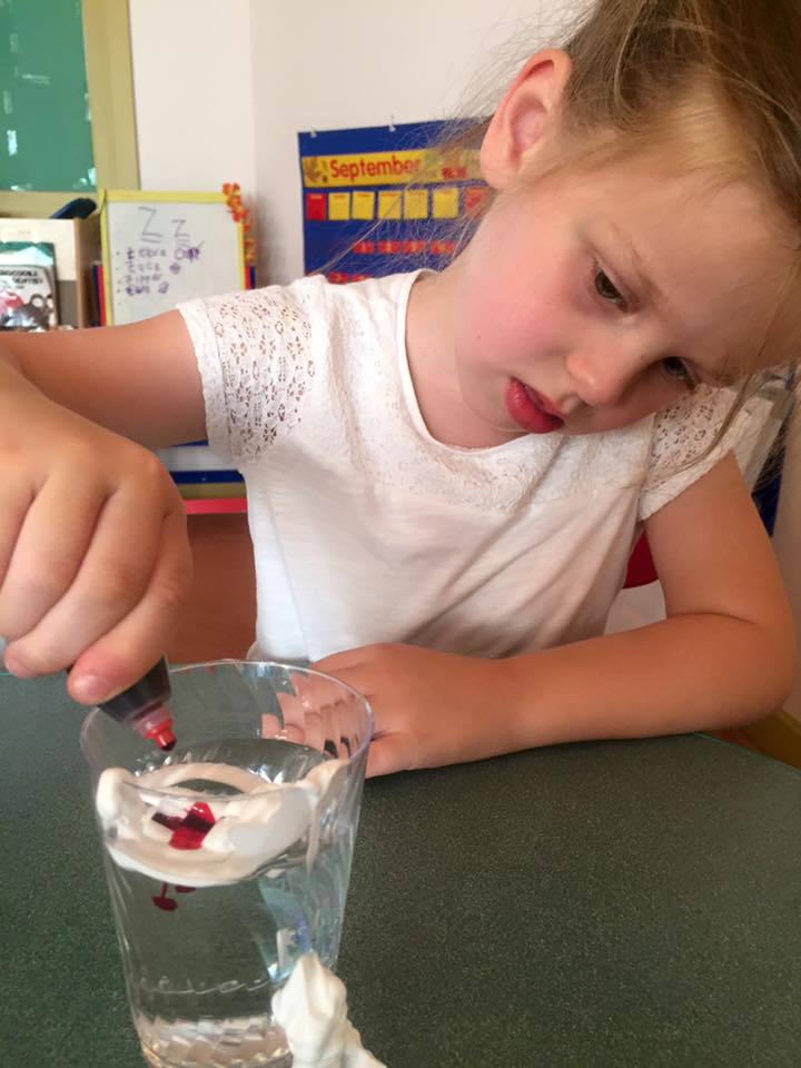 Young Student Using Food Coloring in Water, Preschool Center in Marin CA