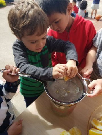 Junipero Serra gallery