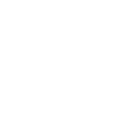 LOGO - ROMOLO SRL