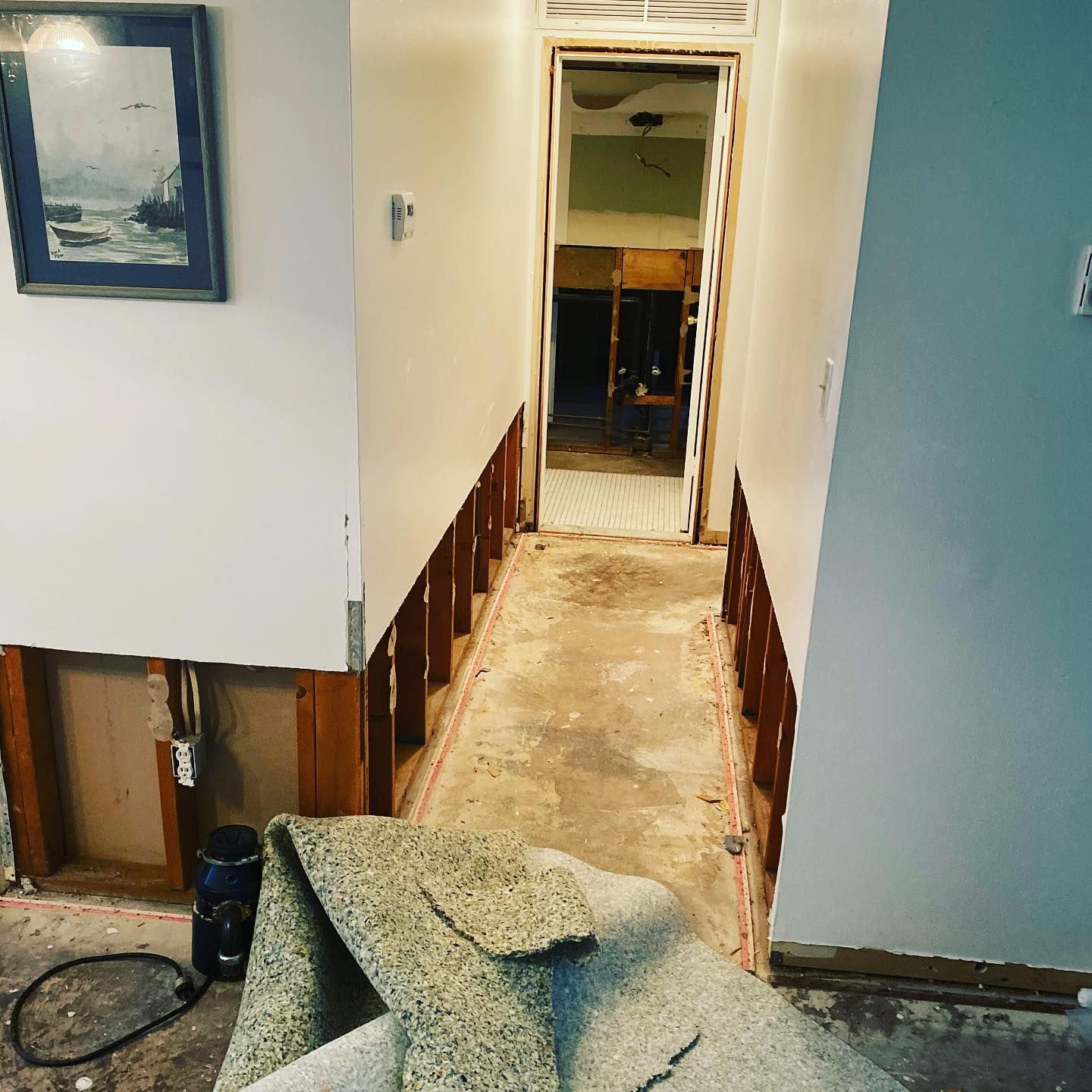 A hallway with a picture on the wall and a carpet on the floor