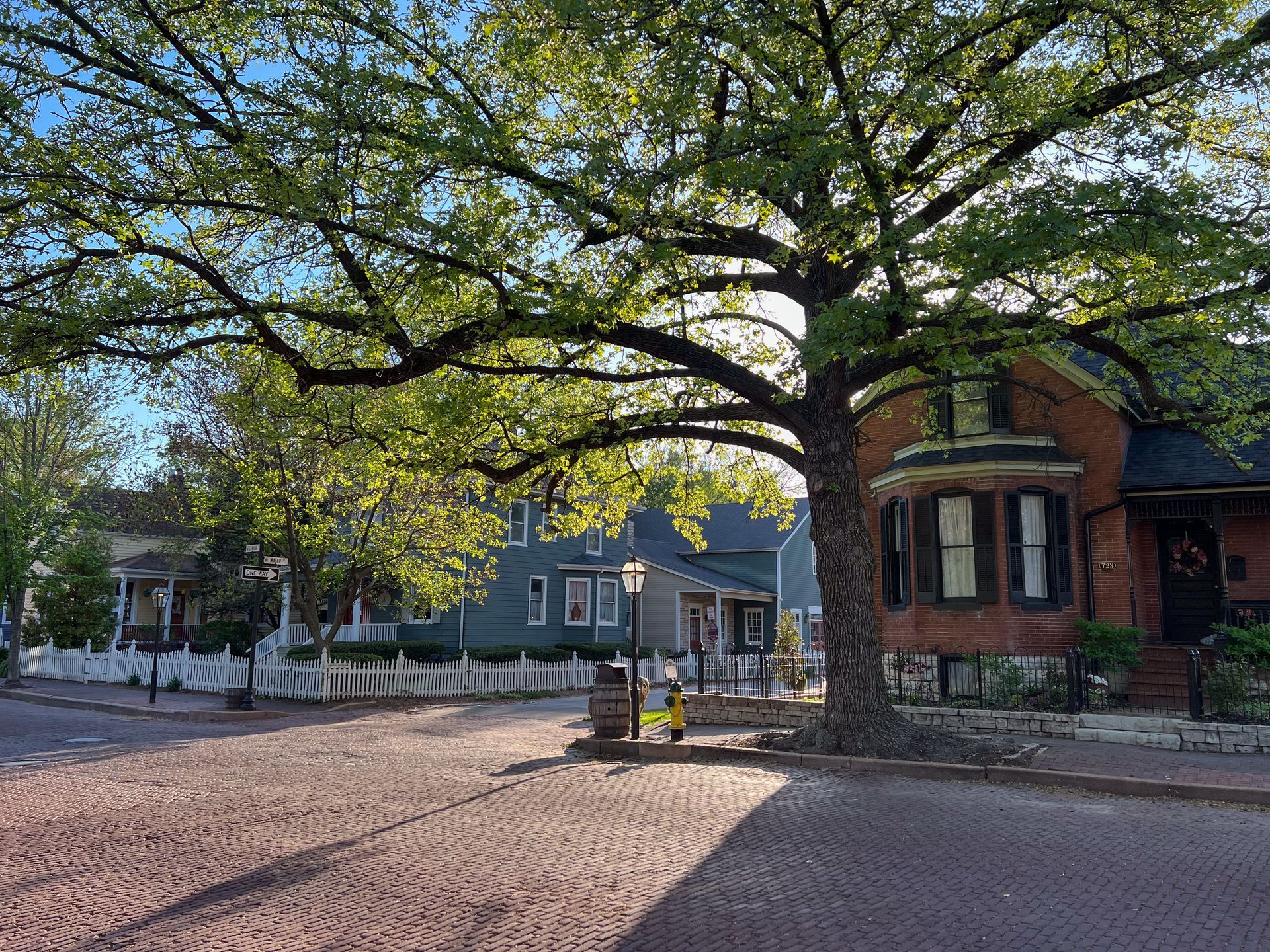 Cobblestone street with large tree, historic homes, and white picket fence.
