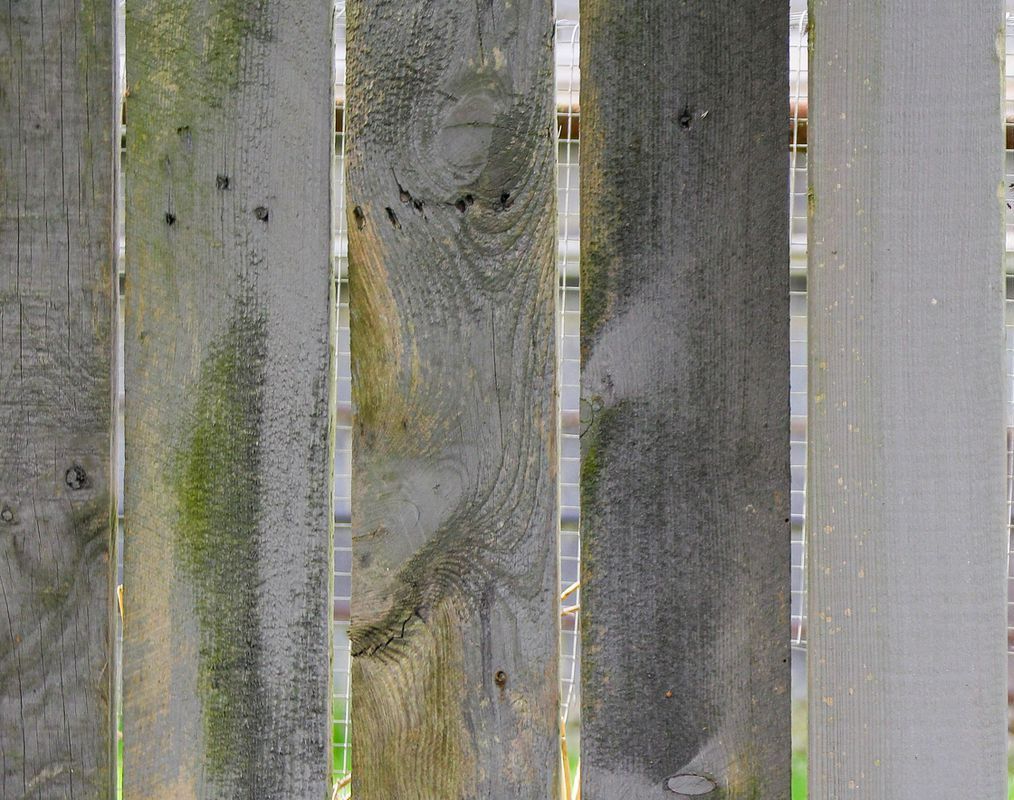 Dirty Fence before. — Ludlow, Massachusetts — All Blue Pressure Washing
