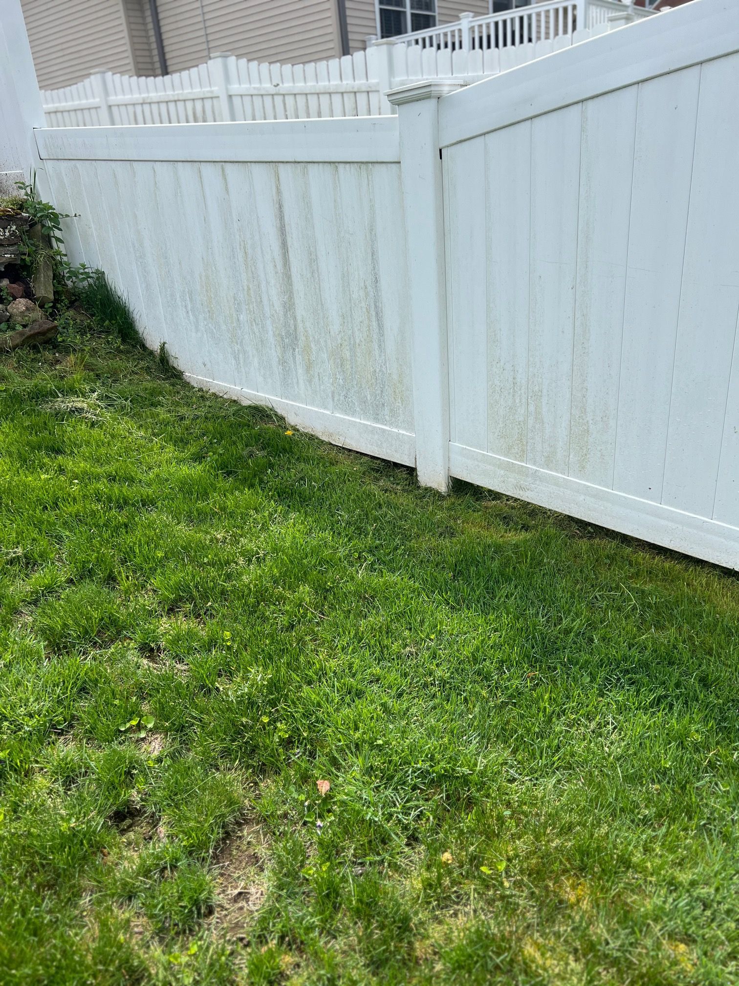 Green grass slopes down to a white vinyl fence with vertical streaks of green mildew in an outdoor setting.