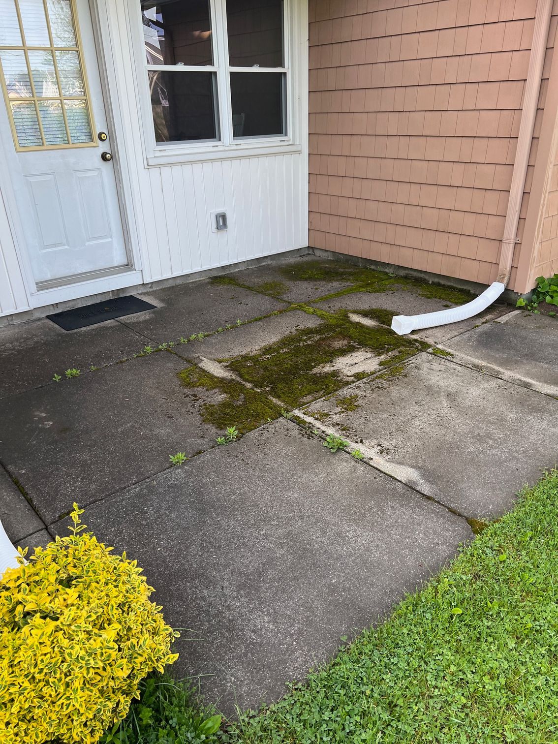 Concrete patio with moss growth in front of a building. Door, window, and downspout visible.