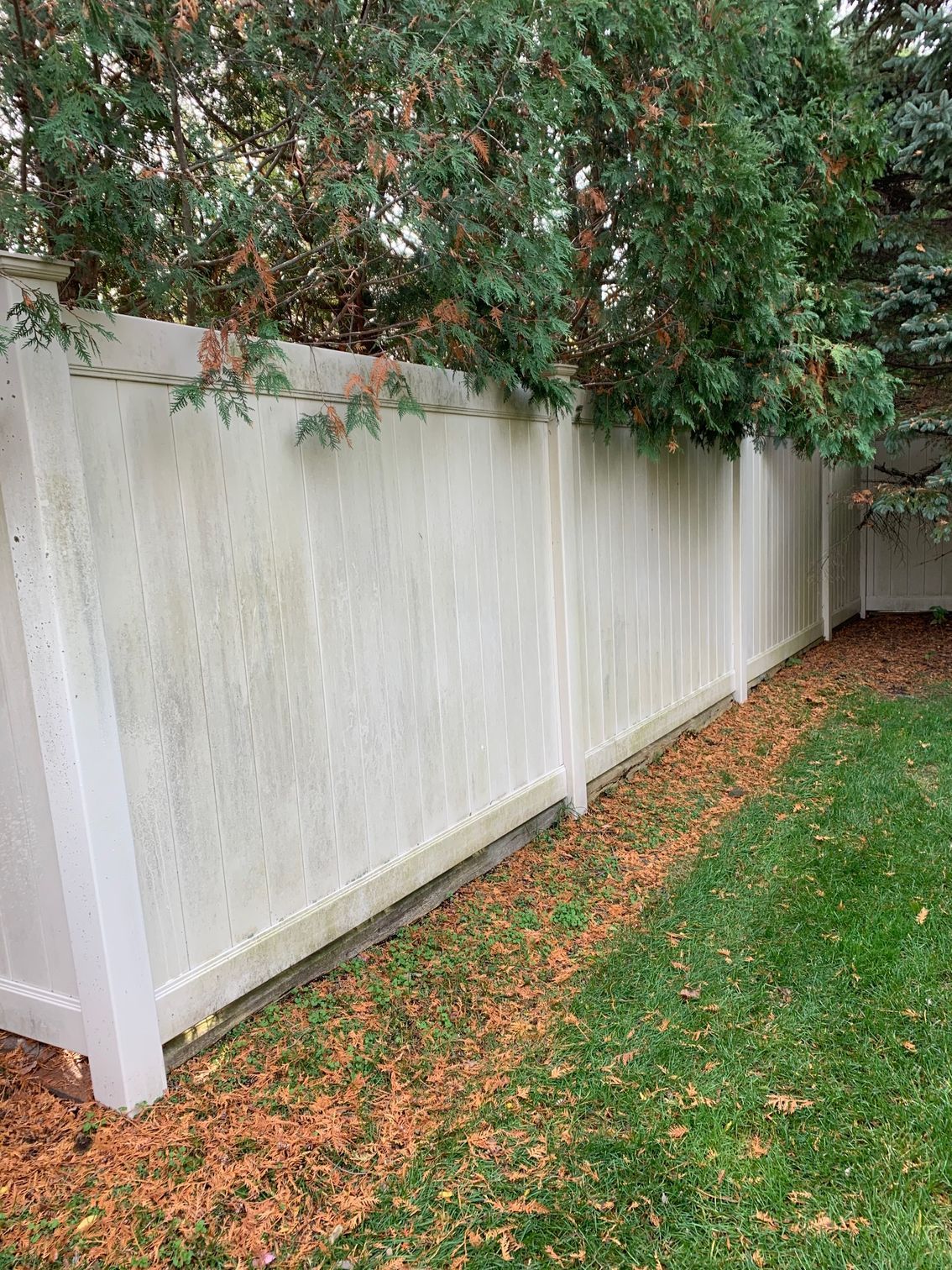 White vinyl fence along a lawn, with trees above; the fence shows some discoloration.