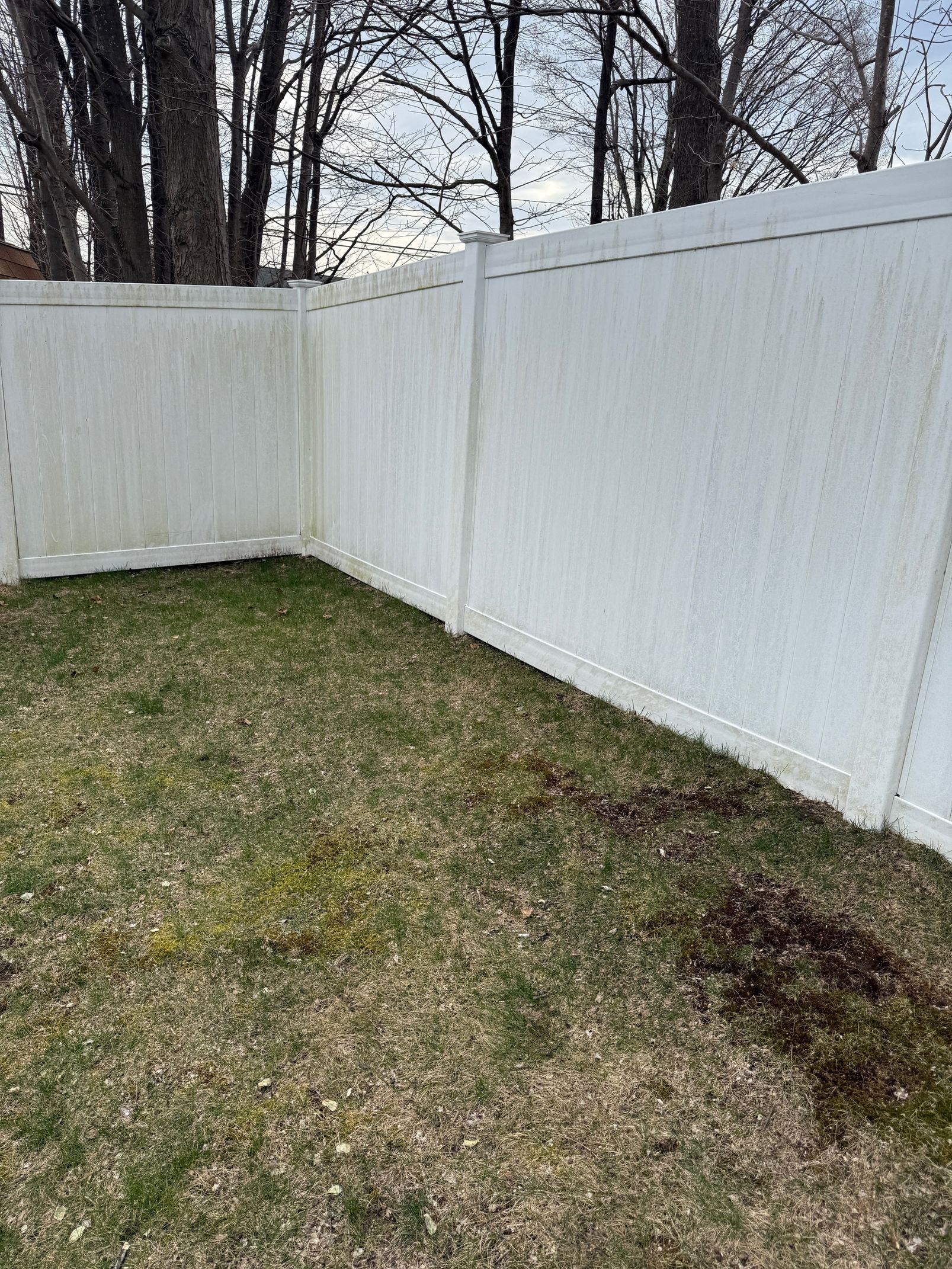 White vinyl fence enclosing a small yard with patchy grass. Bare trees are visible in the background.