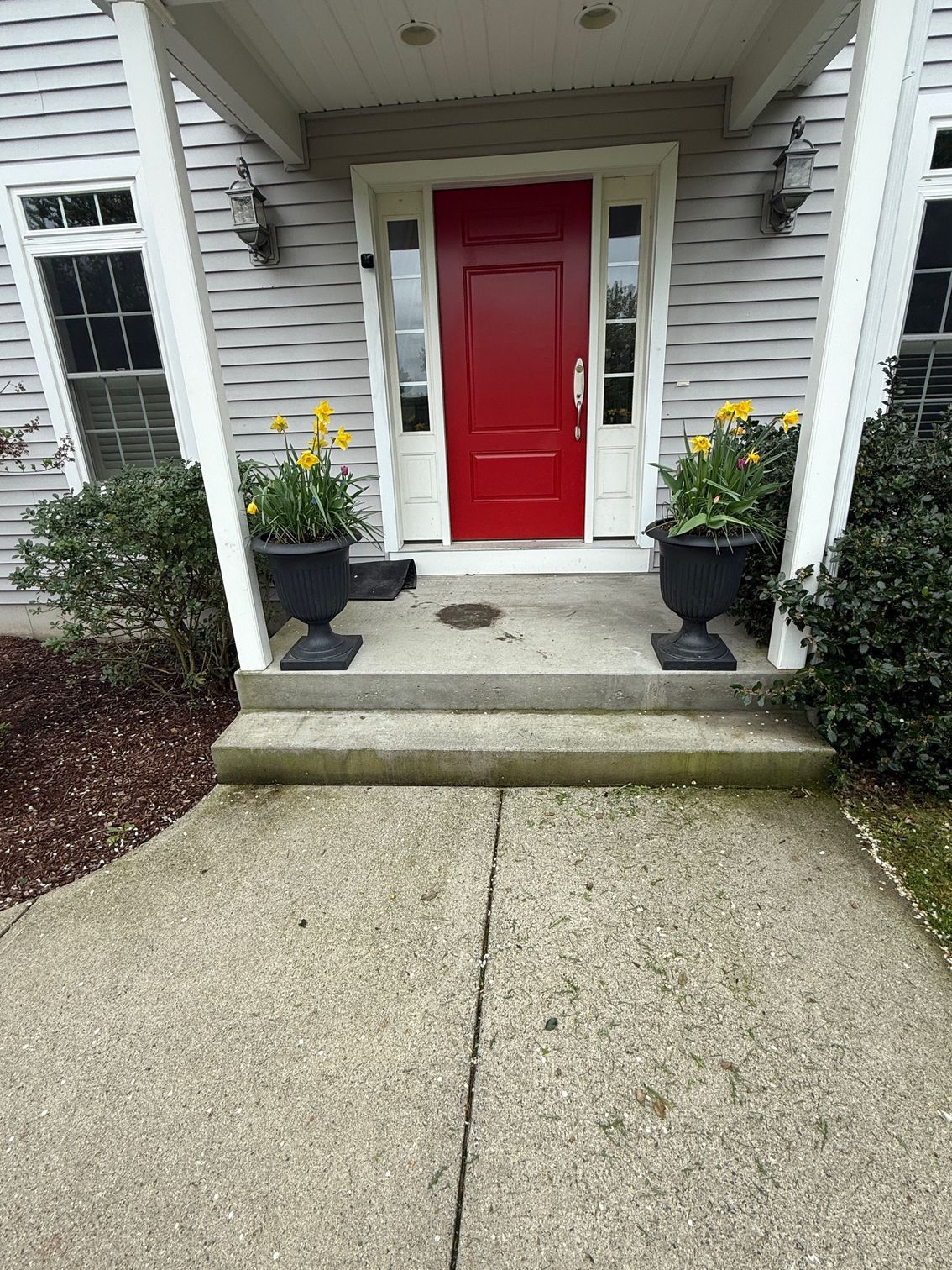Front entrance of a house with a red door, concrete steps, and planters with yellow flowers.