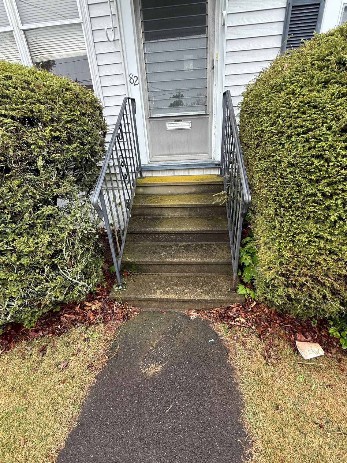 A staircase leading up to the front door of a house surrounded by bushes.