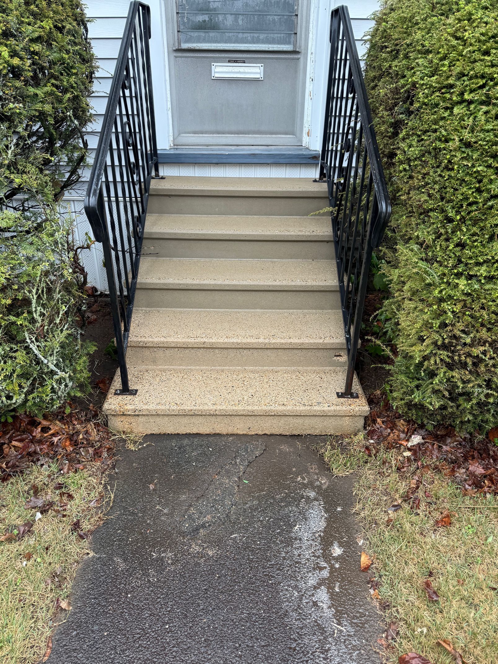 Concrete steps leading up to a front door with black iron handrails and flanking evergreen bushes. The path is wet.