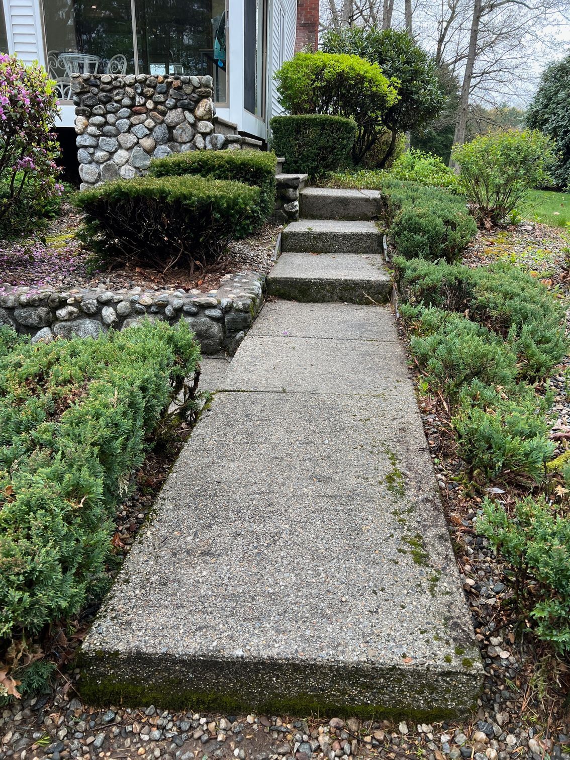 A concrete walkway with stairs leading up to a house surrounded by bushes.