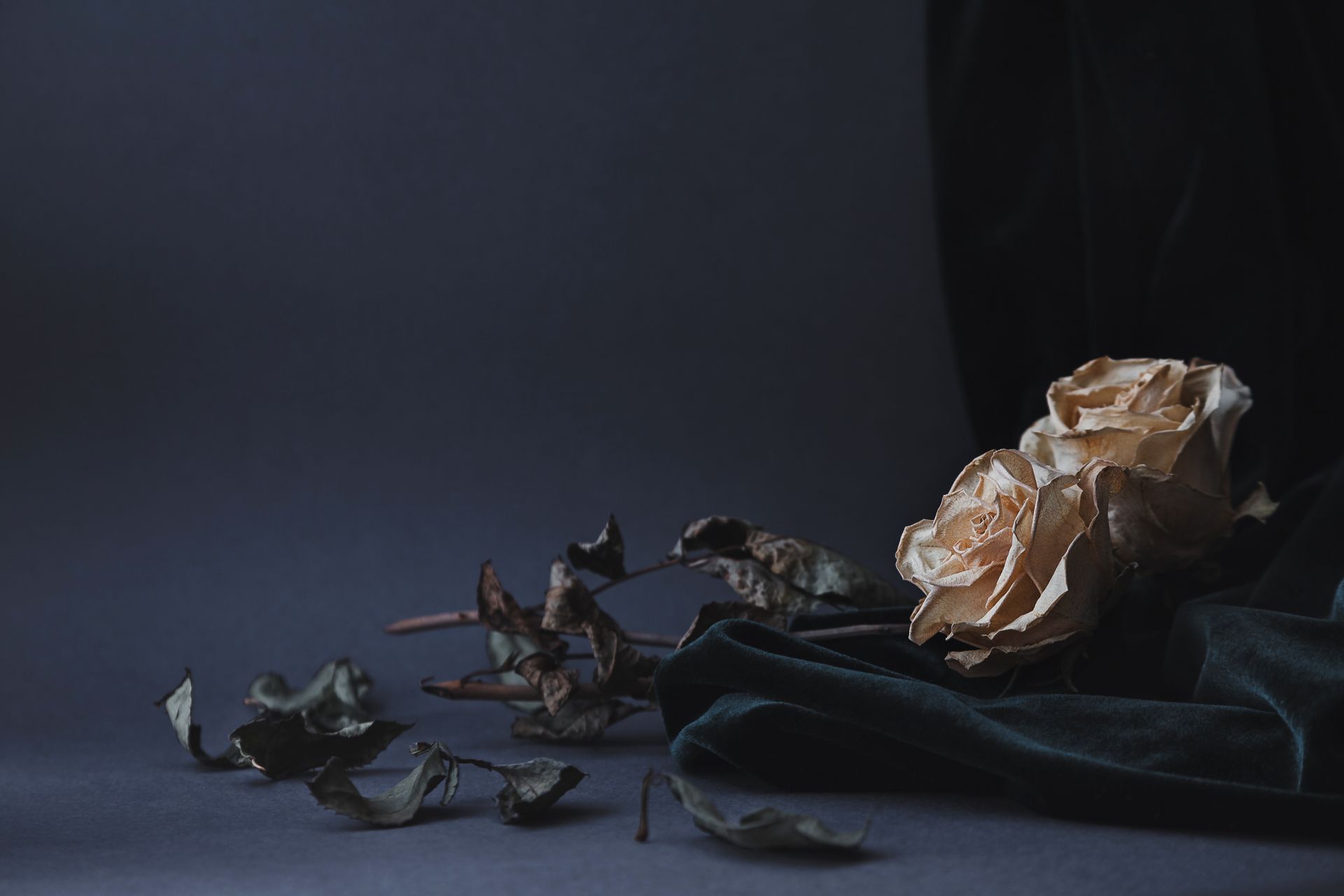 fiori per addobbi funebri