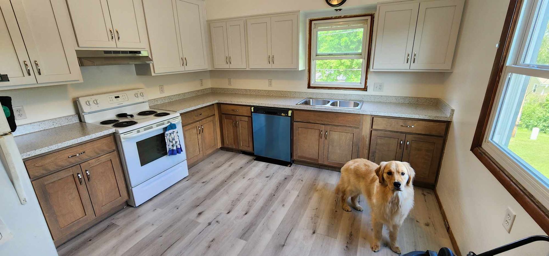 A kitchen with light-colored cabinets, a dog stands in the middle of the room.
