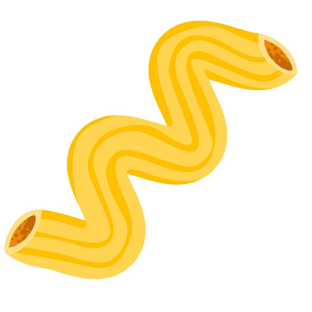 Spiral Pasta