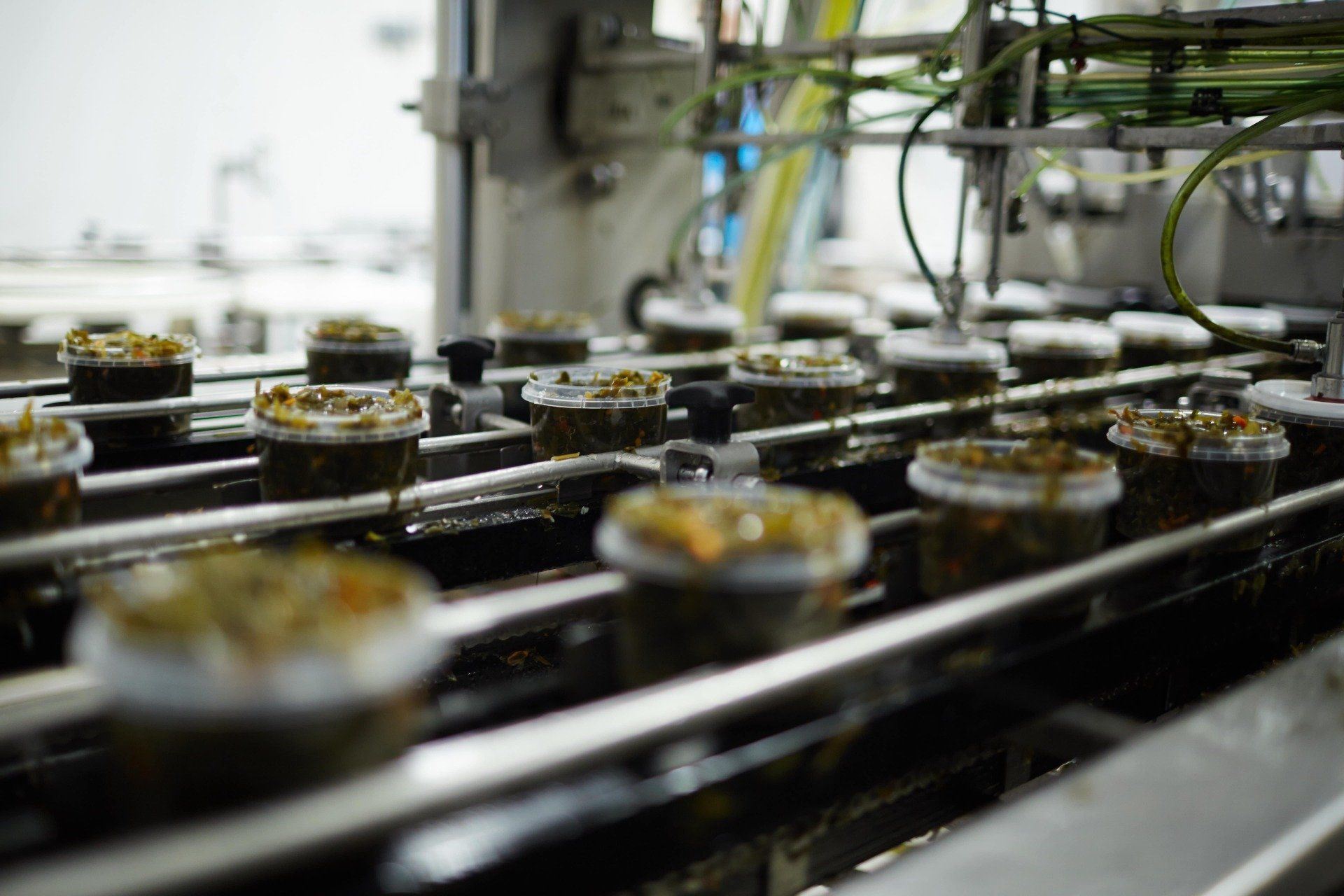 A conveyor belt filled with containers of food in a factory.