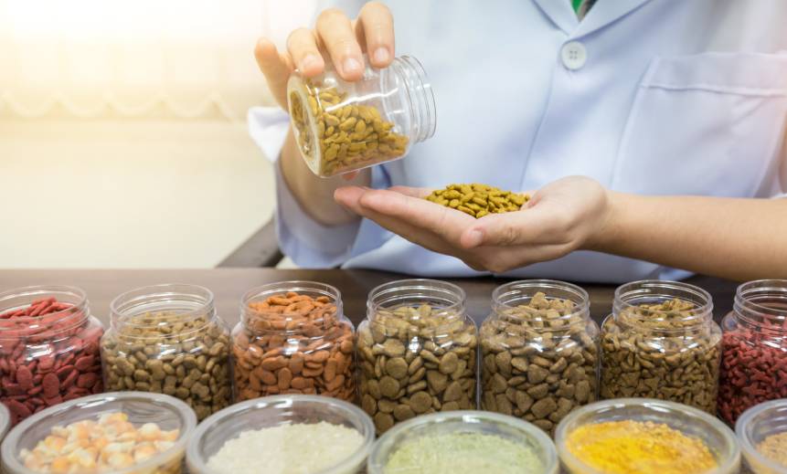 A veterinarian is pouring food into a jar.