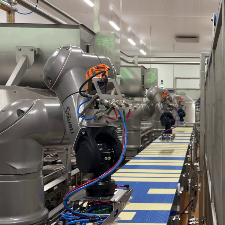 Food grade robotics place pasta with precision Robotic Placement System
