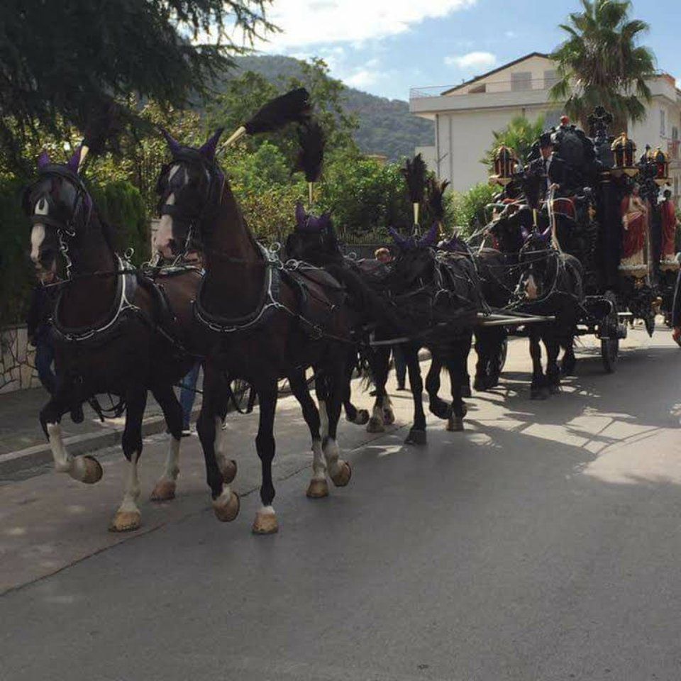 cavalli che trainano carrozza per un funerale