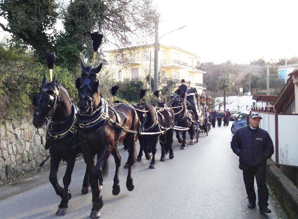 cavalli che trainano carrozza con cofano funebre