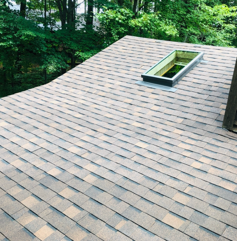 Roofing shingles