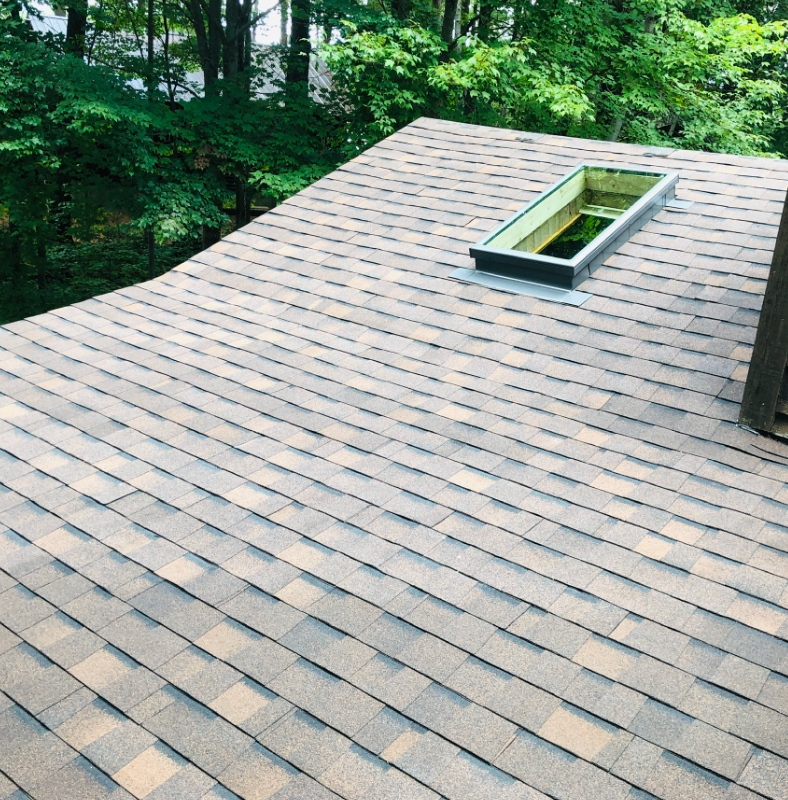 Which roofing material lasts the longest?