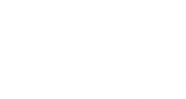 A white background with a few lines on it