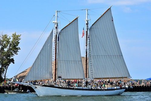 A sailboat with the number 5 01 on the sail