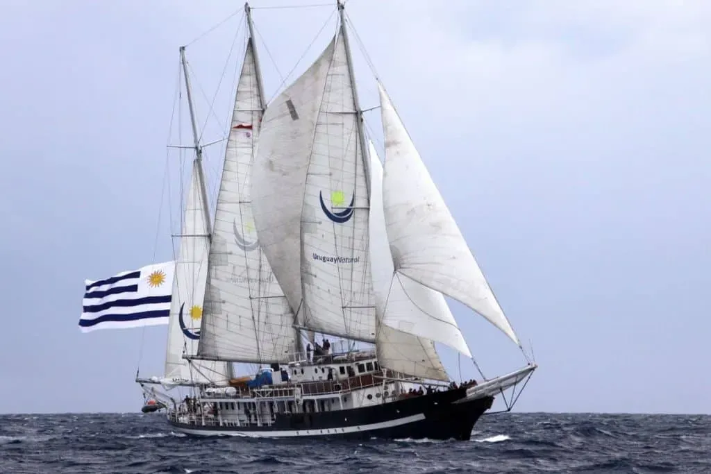 A sailboat in the ocean with a flag on the side