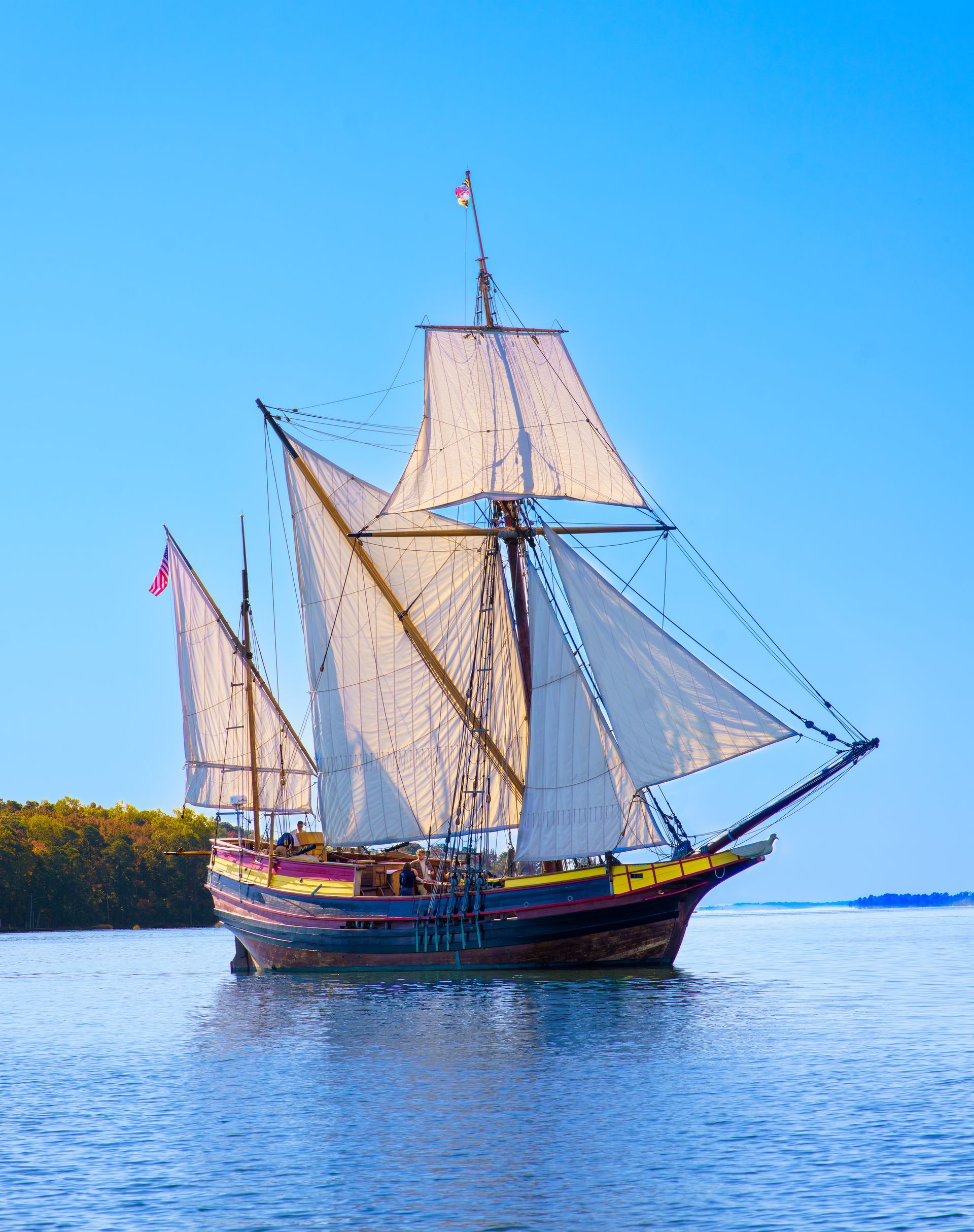 A sailboat with the number 5 01 on the sail