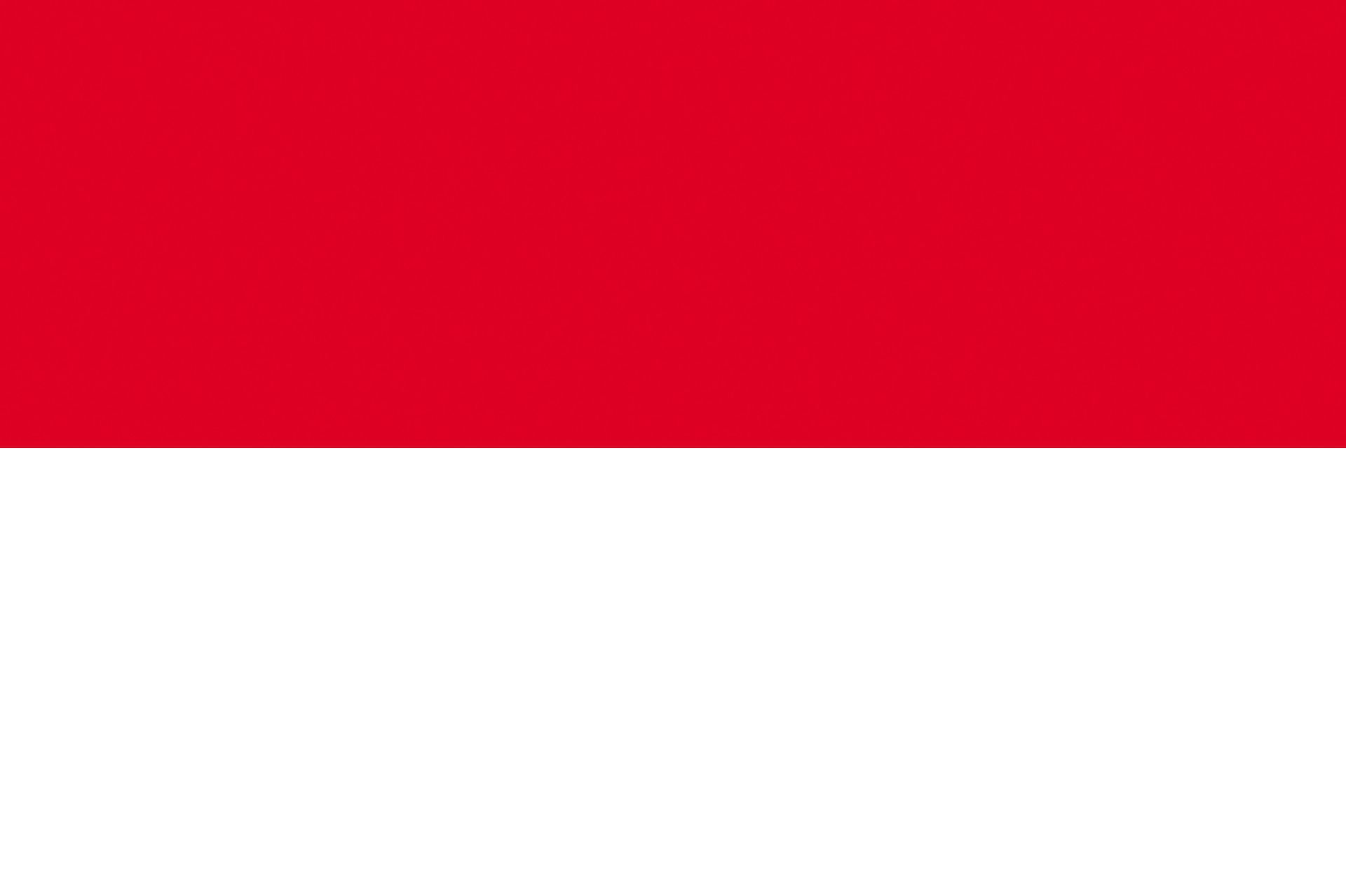 The flag of india is orange , white , and green with a blue circle in the middle.