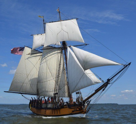 A sailboat with the number 5 01 on the sail